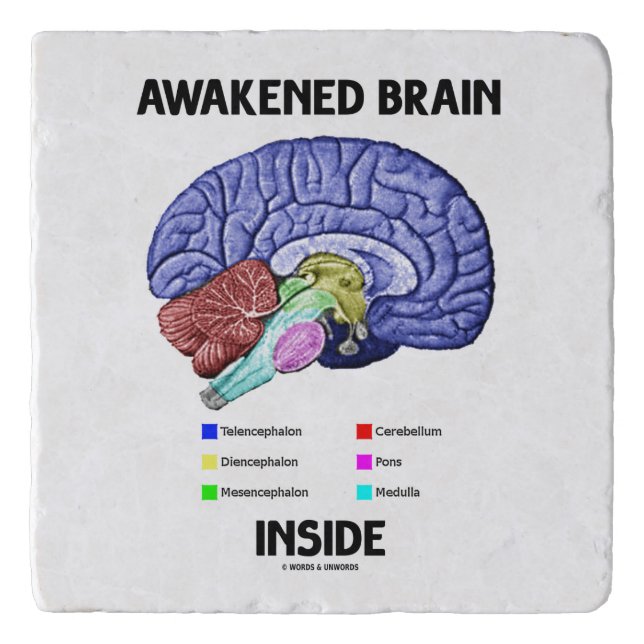 Awakened Brain Inside Brain Anatomy Geek Humor Trivet (Front)