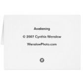Awakening by Cynthia Wenslow Cards (Back Horizontal)