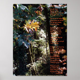 Awakening Divine Self Worth Poster