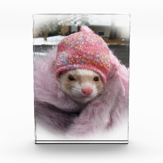 Award benefits ferret rescue sanctuary (Front)