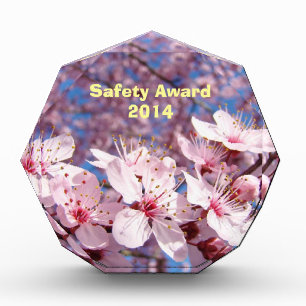 Award Plaques Safety Pink Spring Tree Blossoms