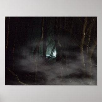 Award Winner Hottest Photo! Lights in the Night Poster