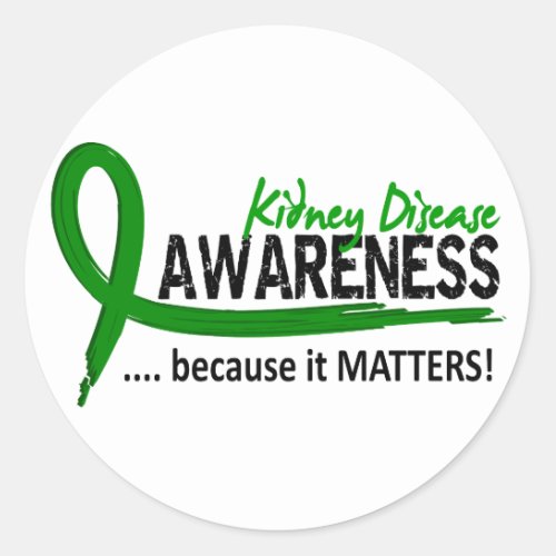 Awareness 2 Kidney Disease Classic Round Sticker