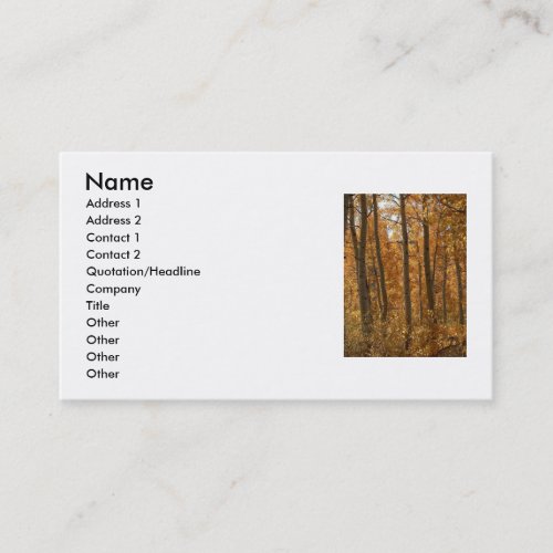 Awesome Amber Business Card