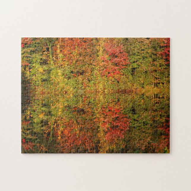 Awesome Autumn Reflections In Water Jigsaw Puzzle (Horizontal)