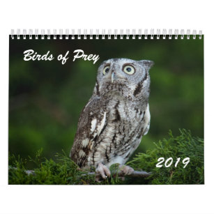 Awesome Birds of Prey 2019 photo calendar