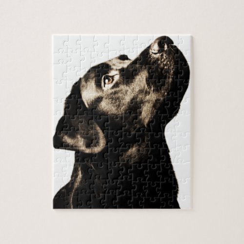 Awesome Black Labrador Retriever Jigsaw Puzzle