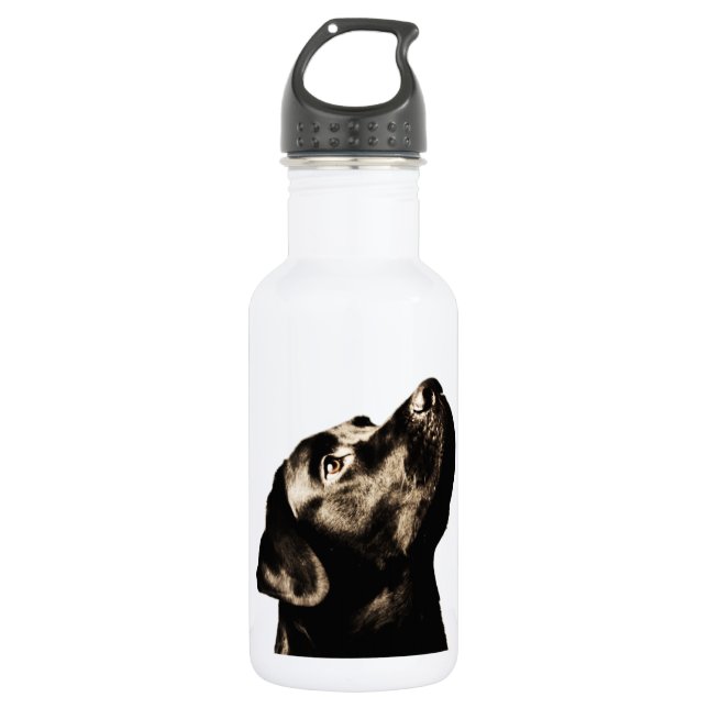 Awesome Black Labrador Retriever Stainless Steel Water Bottle (Front)
