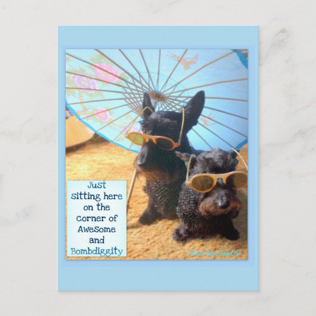 Awesome & Bombdiggity Post Card (Front)