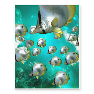 Awesome butterfly fish temporary tattoos