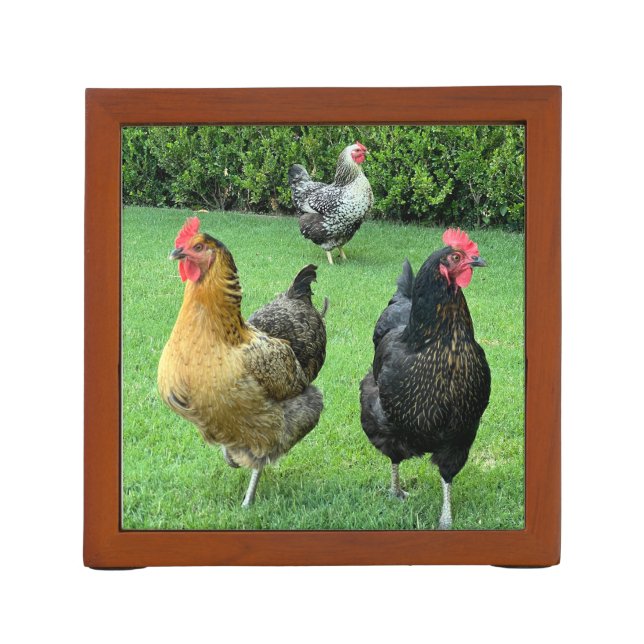 Awesome Chicken Desk Organizer Pen Holder (Back)