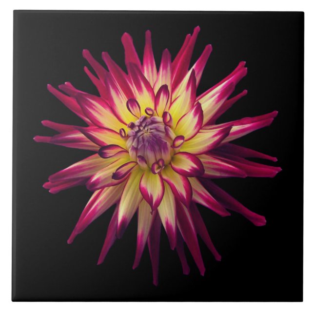 Awesome Color Combination Flower Ceramic Tile (Front)