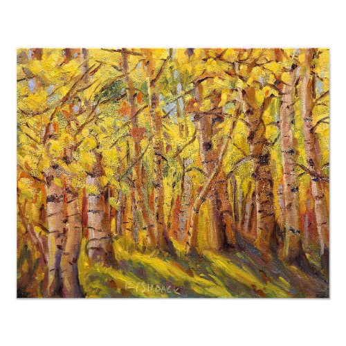Awesome Colors in Aspen Tree Grove Photo Print