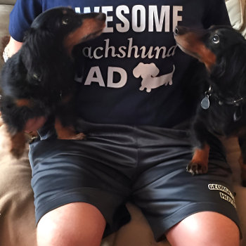 Awesome Dachshund Dad Shirt by Smoothe1 at Zazzle