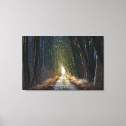 Awesome Dirt Road with a Tunnel of Trees Canvas Print