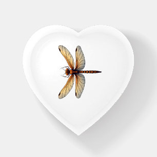 Awesome Dragonfly Costume for Boys and Girls Paperweight