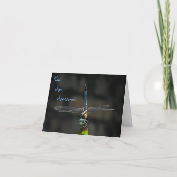 Awesome Dragonfly Thank You Friend Note Card by debinSC at Zazzle