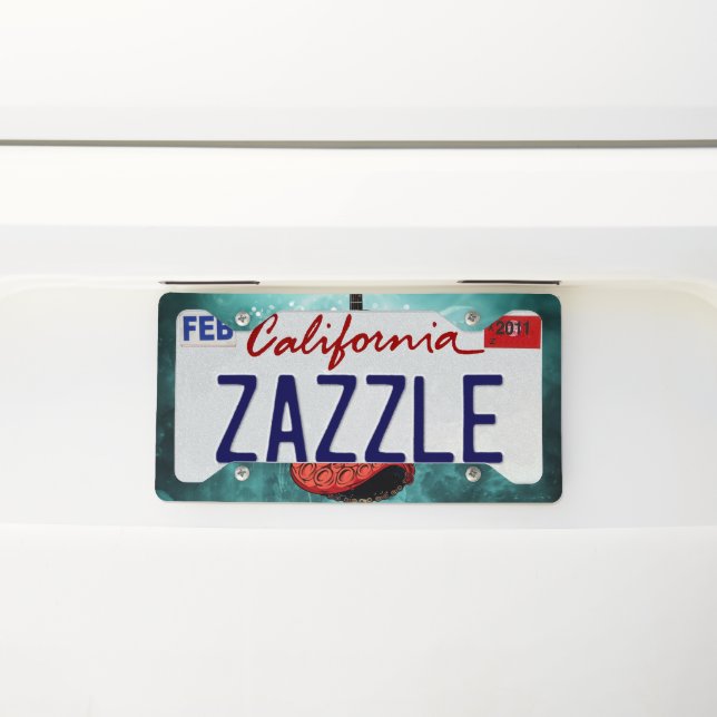 Awesome fantasy guitar license plate frame (On Car)