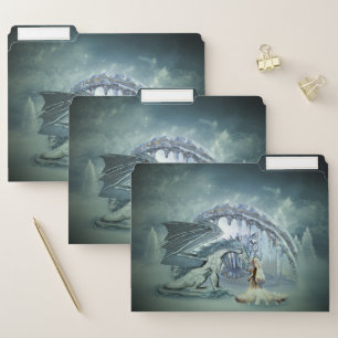 Awesome ice dragon file folder