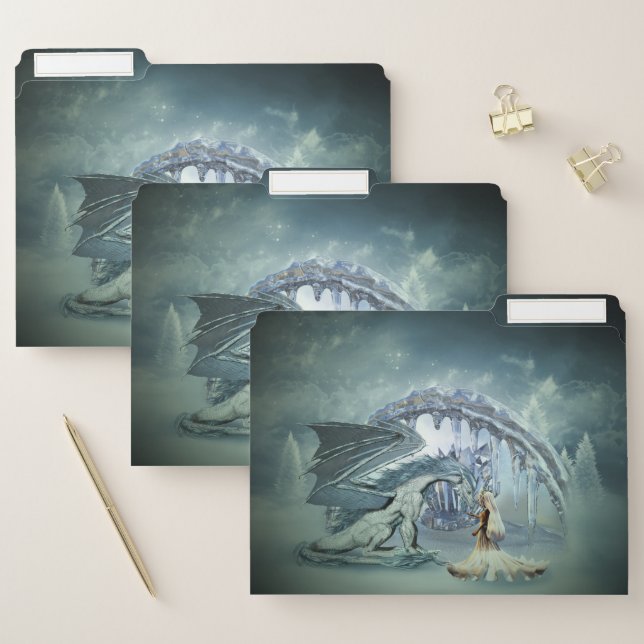 Awesome ice dragon file folder (Set)