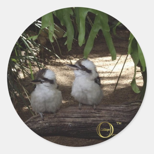 Awesome Kookaburras Classic Round Sticker (Front)