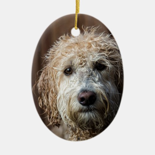Awesome Labradoodle Pup gifts Ceramic Ornament