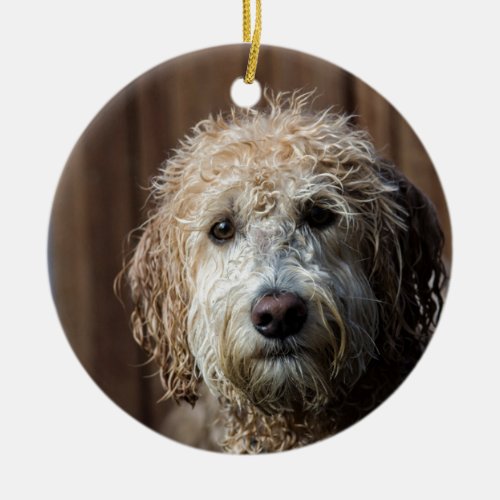 Awesome Labradoodle Pup gifts Ceramic Ornament
