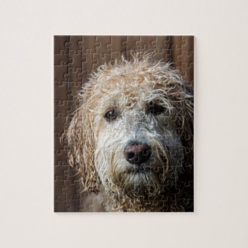 Awesome Labradoodle Pup gifts Jigsaw Puzzle