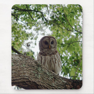 Awesome Owl Mousepad