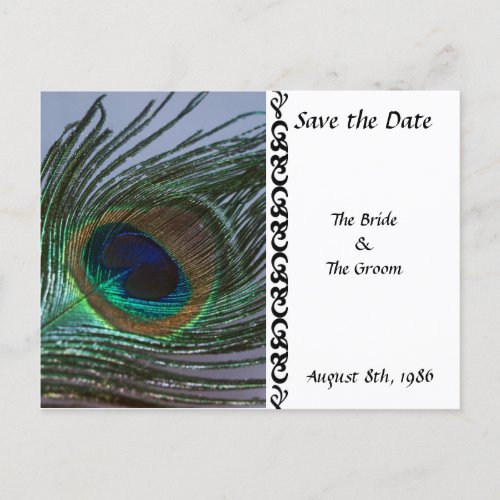 Awesome Peacock Save the Date Postcard