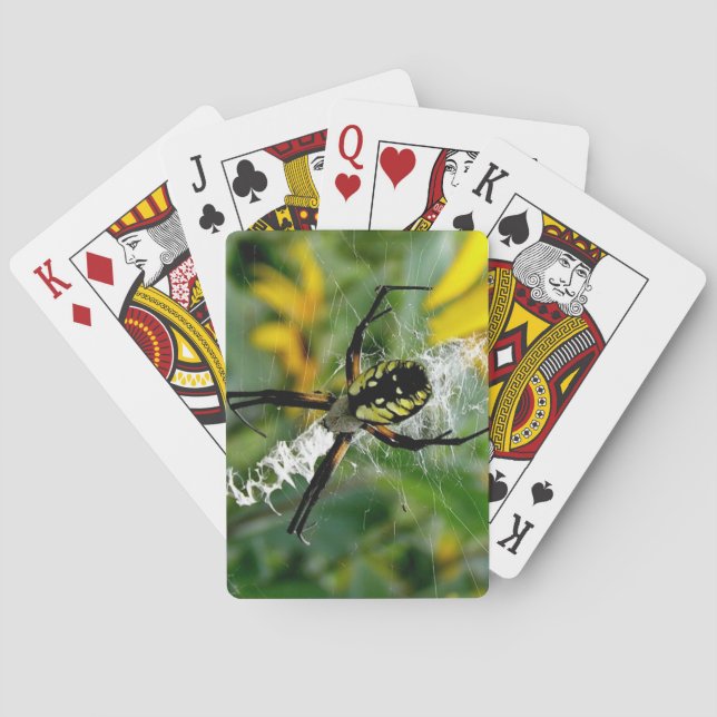 Awesome Photo Orb Spider in Web Poker Cards (Back)