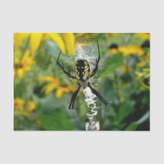 Awesome Photo Orb Spider in Web Tissue Paper