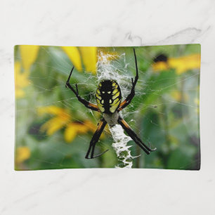 Awesome Photo Orb Spider in Web Trinket Tray