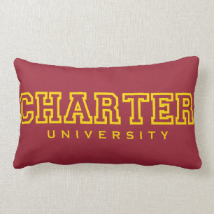 Awesome Pillow