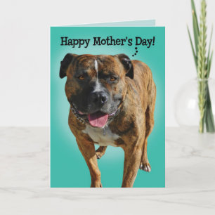 Awesome Pit Bull Mother's Day Card