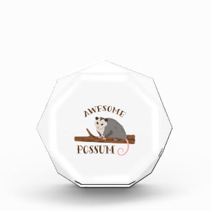 Awesome Possum Acrylic Award