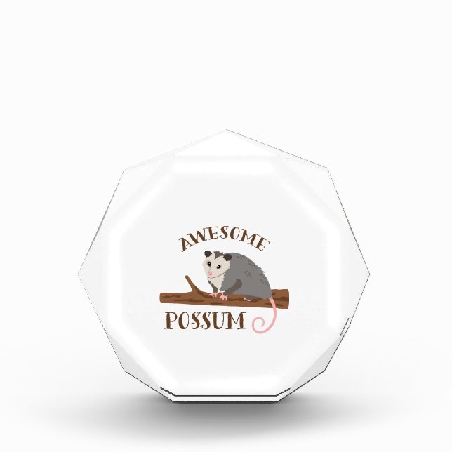 Awesome Possum Acrylic Award (Front)