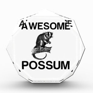 AWESOME POSSUM ACRYLIC AWARD