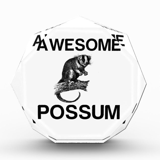 AWESOME POSSUM ACRYLIC AWARD (Front)