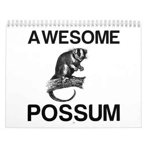 AWESOME POSSUM CALENDAR