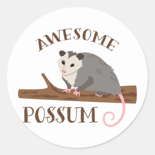 Awesome Possum Classic Round Sticker