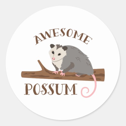 Awesome Possum Classic Round Sticker