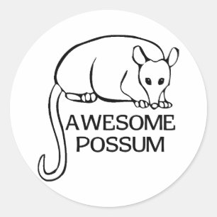 Awesome Possum Classic Round Sticker