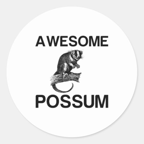 AWESOME POSSUM CLASSIC ROUND STICKER