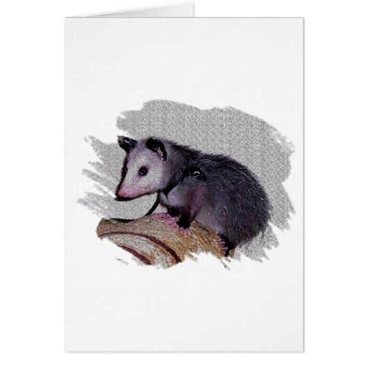 Awesome Possum Opossum Cards (Front)