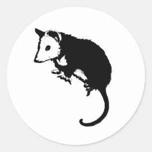 Awesome Possum Opossum Classic Round Sticker