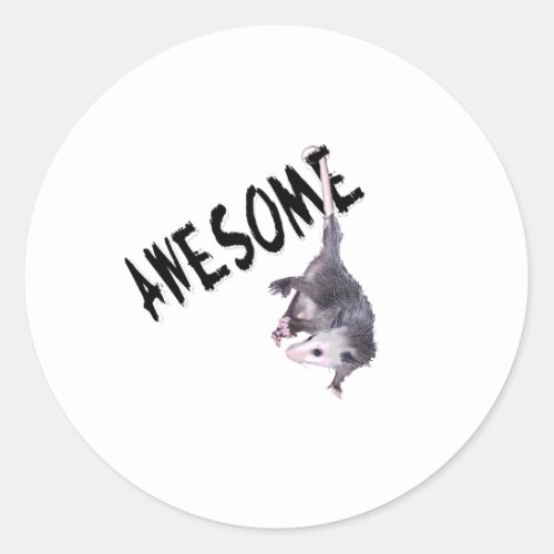Awesome Possum Opossum Classic Round Sticker