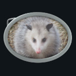 Awesome Possum Oval Belt Buckle<br><div class="desc">Wildlife image features a portrait of a Possum.</div>