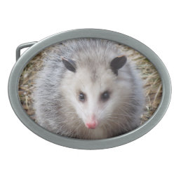 Awesome Possum Oval Belt Buckle