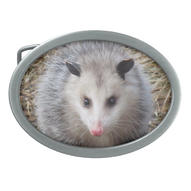 Awesome Possum Oval Belt Buckle (Front)